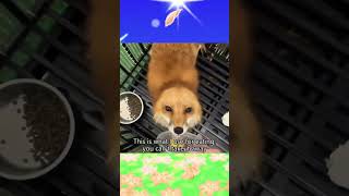 Cute Little Foxes #shorts #cuteanimals #foxes
