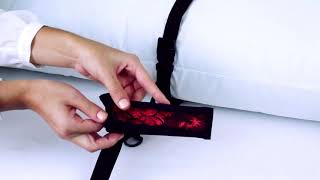 CalExotics - Scandal - Scandal Over the Bed Cross