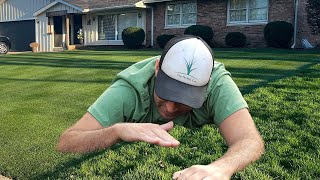 DROUGHT: Tall vs Short Grass