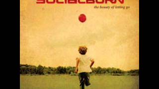 Socialburn - Fireflies