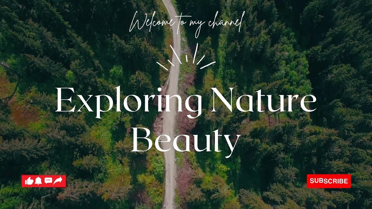 4K Video (Ultra HD) : Unbelievable Beauty - Relaxing music along with  beautiful nature videos #113 