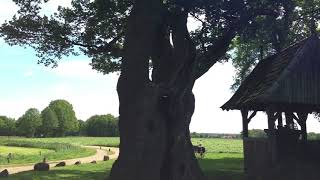 Online Training Tools for a Splendid Life, Lesson 1