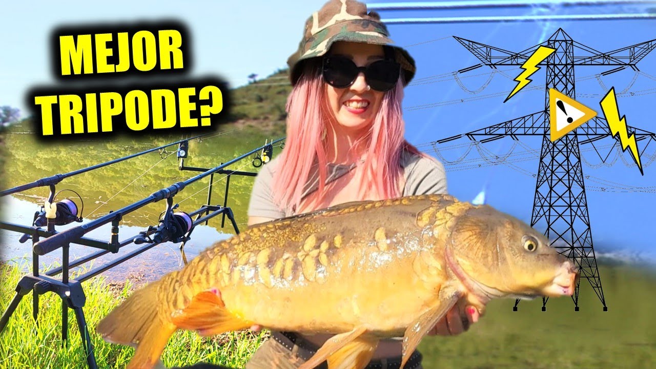 🎣 𝐏𝐄𝐒𝐂𝐀𝐍𝐃𝐎 no puedo LANZAR 👉 con el cable 𝗔𝗟𝗧𝗔 𝗧𝗘𝗡𝗦𝗜𝗢𝗡⚡ Todo sobre  𝐓𝐑𝐈𝐏𝐎𝐃𝐄𝐒 ❤️ CARP FISHING