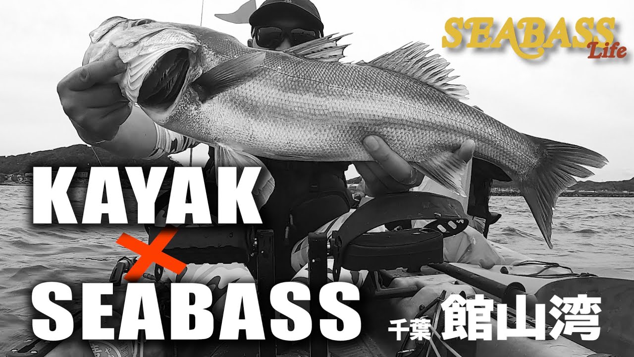 カヤック 海 川 池 1人乗り シーバス バス釣り 根魚 シーカヤック 野池 カヤック × シーバスフィッシング】／陸から探れない場所にルアーを