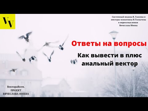 Как вывести в плюс анальный вектор. ВектораВсем. Проект Вячеслава Юнева