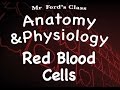Red Blood Cells and Their Functions