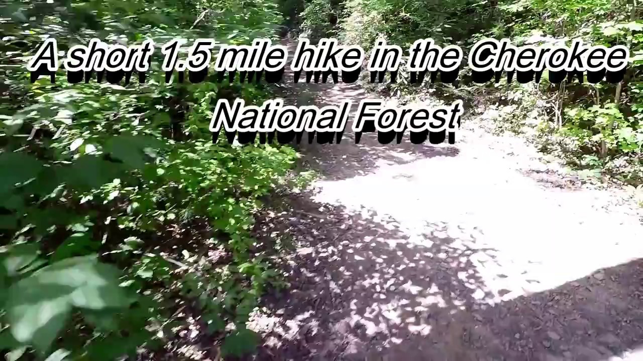 Turtletown Creek Falls!!! In Turtletown TN. YouTube