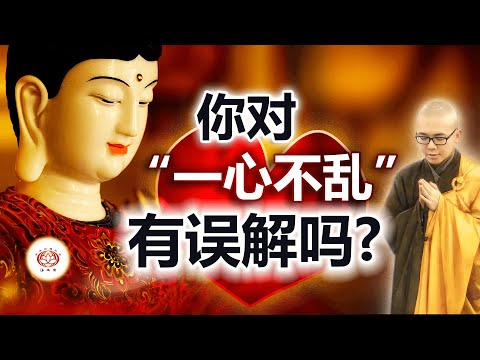 你对“一心不乱”有误解吗？ 👼 | 净本法师 主讲