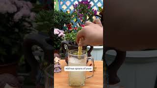 How to Make Homemade Phosphorus Fertilizer for Blooming Flowers #homemadefertilizer