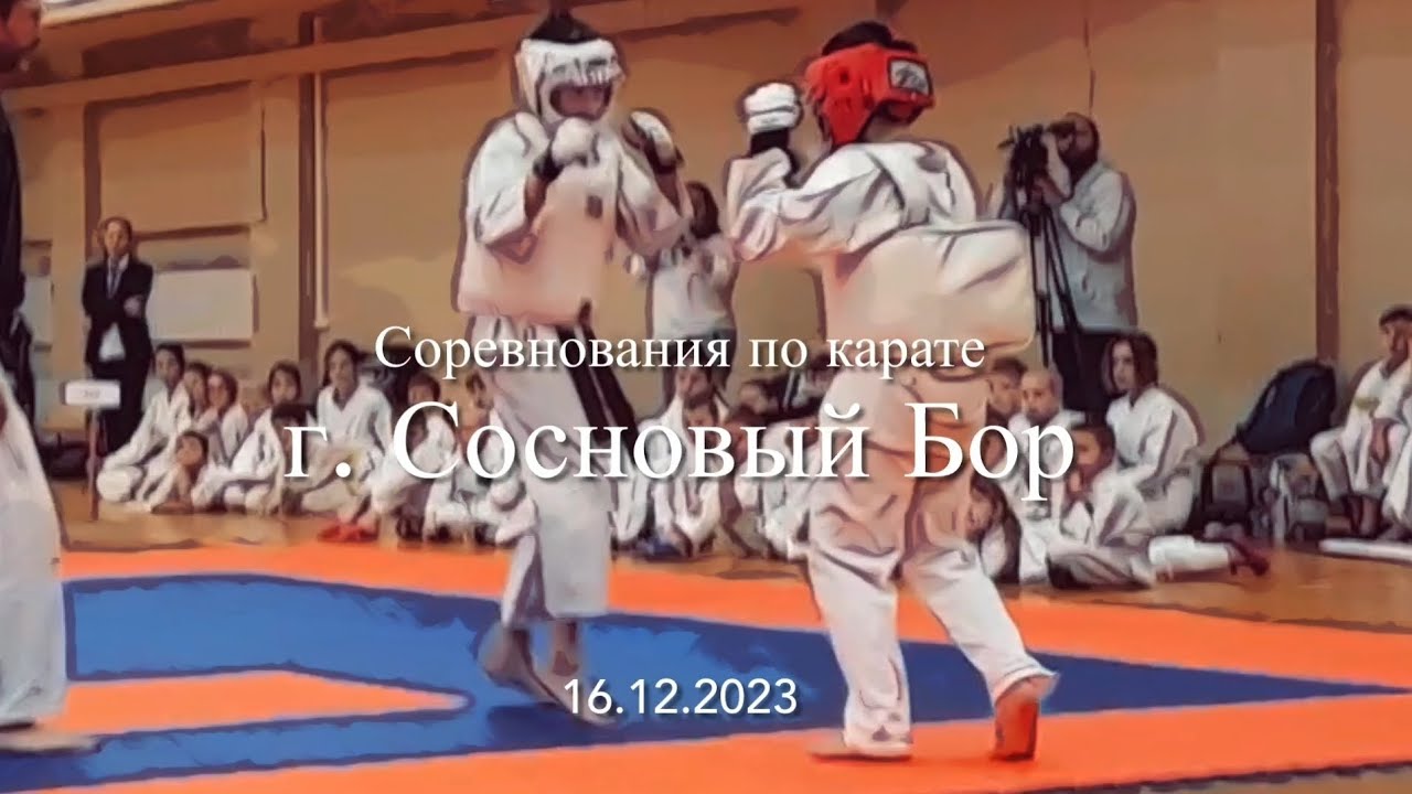 ��������� ���� ������������: ����.