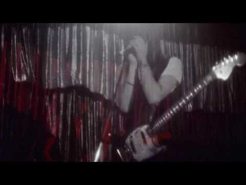 WARPAINT 'Beetles'