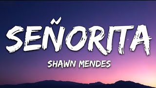 Senorita By Shawn Mendes In Midnight Muse Chanell Release 