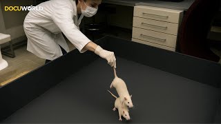 Beyond The Atmosphere Episode 5 | Who Gives More For Science: Humans Or Animals?