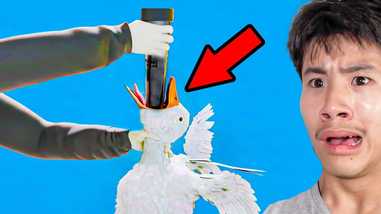 Things You Wish You Never Knew (Zack D Films)