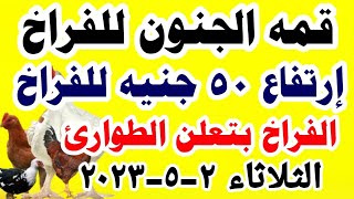 اسعار الفراخ البيضاء اليوم / سعر الفراخ البيضاء اليوم الثلاثاء 2023/5/2 في مصر