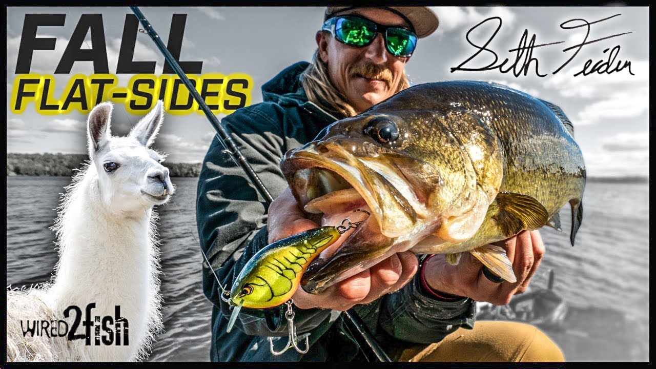 How to Fish Crankbaits in Weeds with Seth Feider - Wired2Fish