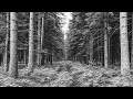 история скс чак клюквенный 90 е в скс история скс чак клюквенный 90 е в скс