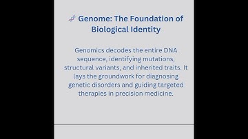 What is Multi-omics? 