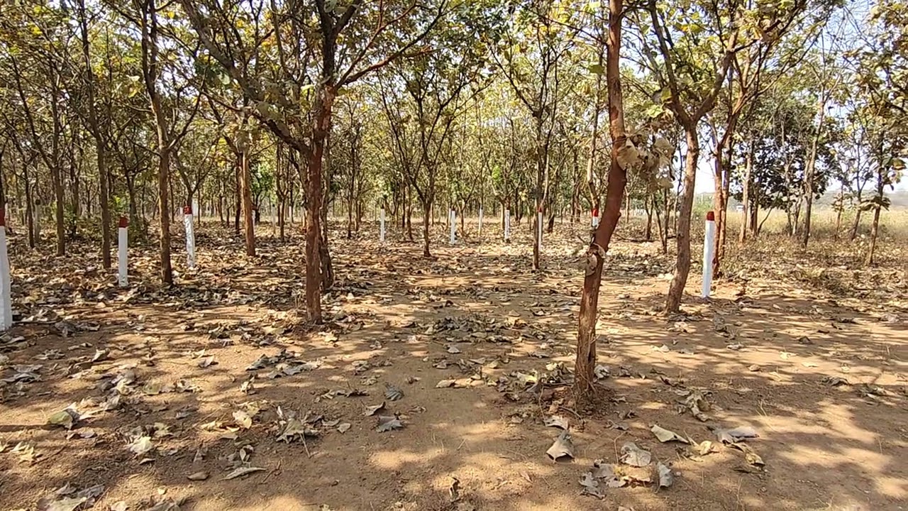 240 Sq Yards Open Plot Near Ibrahimpatnam | LRS Paid | Just ₹5000/Sq.Yd | Hyderabad Investment Deal