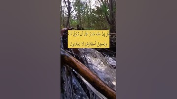 قل إن الله قادر على أن ينزل آية. ماتيسر من سورة الأنعام بصوت الشيخ محمد صديق المنشاوي رحمه الله.