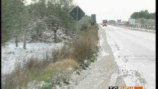 Puglia | Gelo e neve mettono in ginocchio il settore agricolo: comincia la conta dei danni