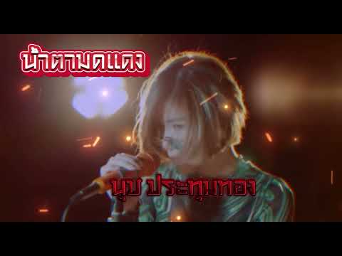 น้ำตามดแดง (Cover Version) นุช ประทุมทอง นิลวัน