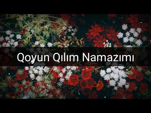 Mərsiyə Qoyun Qılım Namazımı