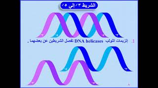 3 - DNA replication - تضاعف DNA واصلاح عيوبها  2020