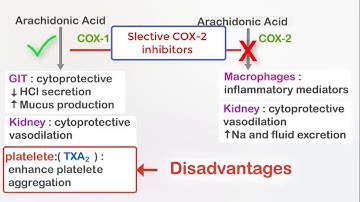 NSAIDs (Ibuprofen) and selective COX-2 inhibitors (Celecoxib)