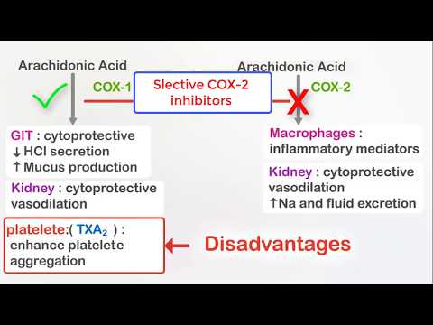 NSAIDs (Ibuprofen) and selective COX-2 inhibitors (Celecoxib)