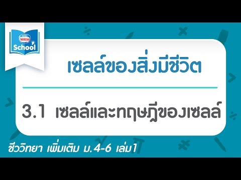 วีดีโอ: ทฤษฎีเซลล์สมัยใหม่ระบุถึงอะไร