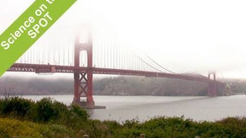 Science of Fog: Science on the SPOT