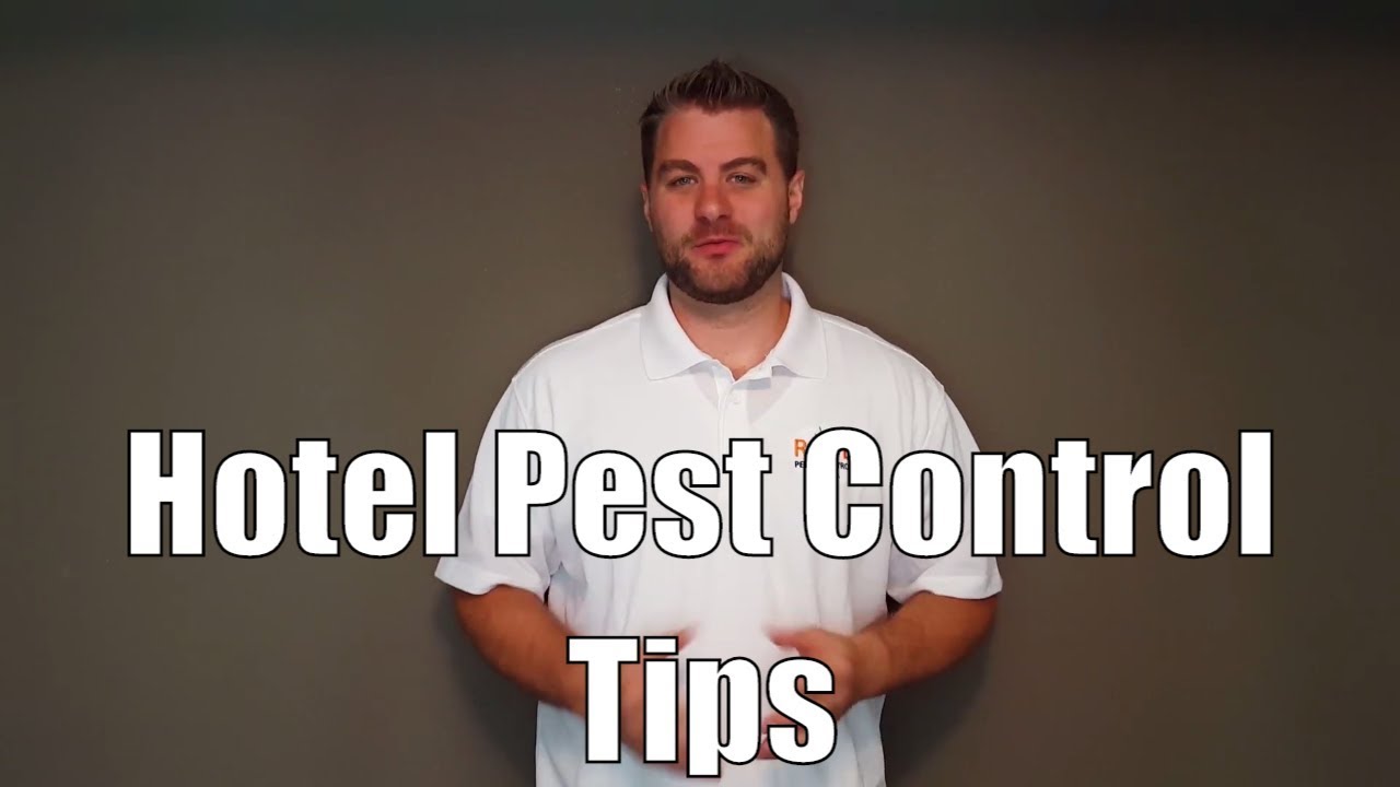 Hotel pest control tips YouTube