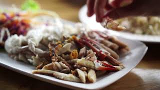 Information Experience the tastes of Talbot County, Maryland Guide