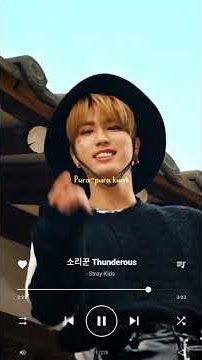 [SHORT LYRICS] Stray Kids - Thunderous (Sub Indo)