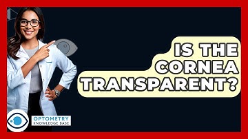 Is The Cornea Transparent? - Optometry Knowledge Base
