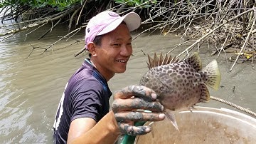 Cái kết ở vuông câu lịch vs giăng lưới cá ko có