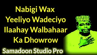 OMAR ADEN 2023 | SALIGAAGU WELIGEY | QASAYID SONG LYRICS SOMALI MUSIC Samadoon Studio Pro.