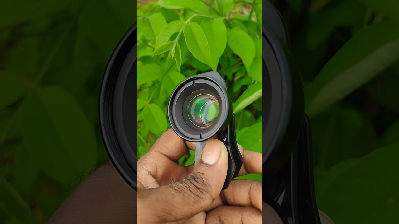 Apexel 100mm 4k Macro Lens 🔥 | Macro Photography 📷🌿 