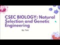 CSEC Biology: Natural Selection and Genetic Engineering