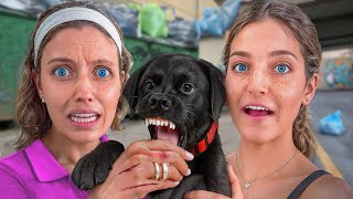 Download Lagu We ADOPTED a DOG No One Wanted MP3 Download Lagu We ADOPTED a DOG No One Wanted MP3