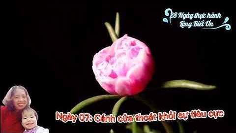 28 NGÀY THỰC HÀNH LÒNG BIẾT ƠN/Ngày 07: Cánh Cửa Thoát Khỏi Sự Tiêu Cực