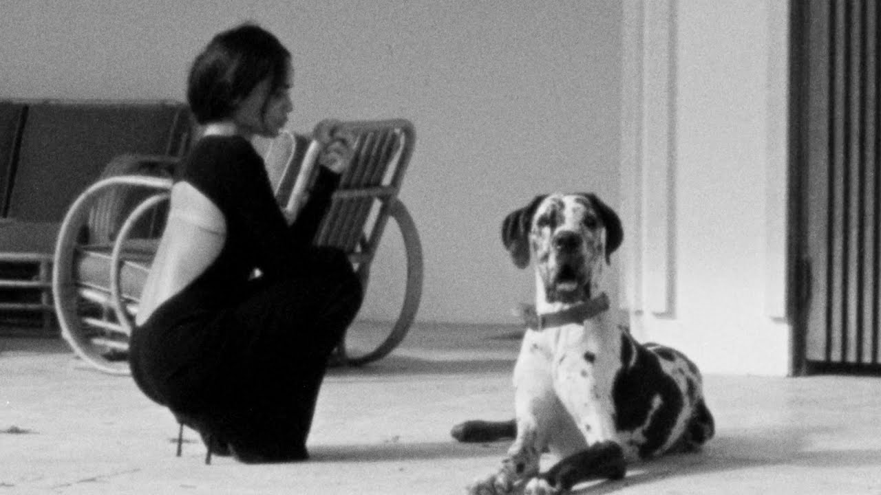 Saint Laurent Releases “Zoë” Book as an Ode to Zoë Kravitz