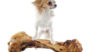 Assessment for Dummies part 1