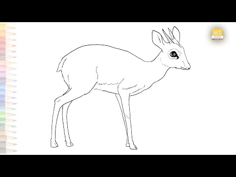 Дик суреттерді жұлып алуда