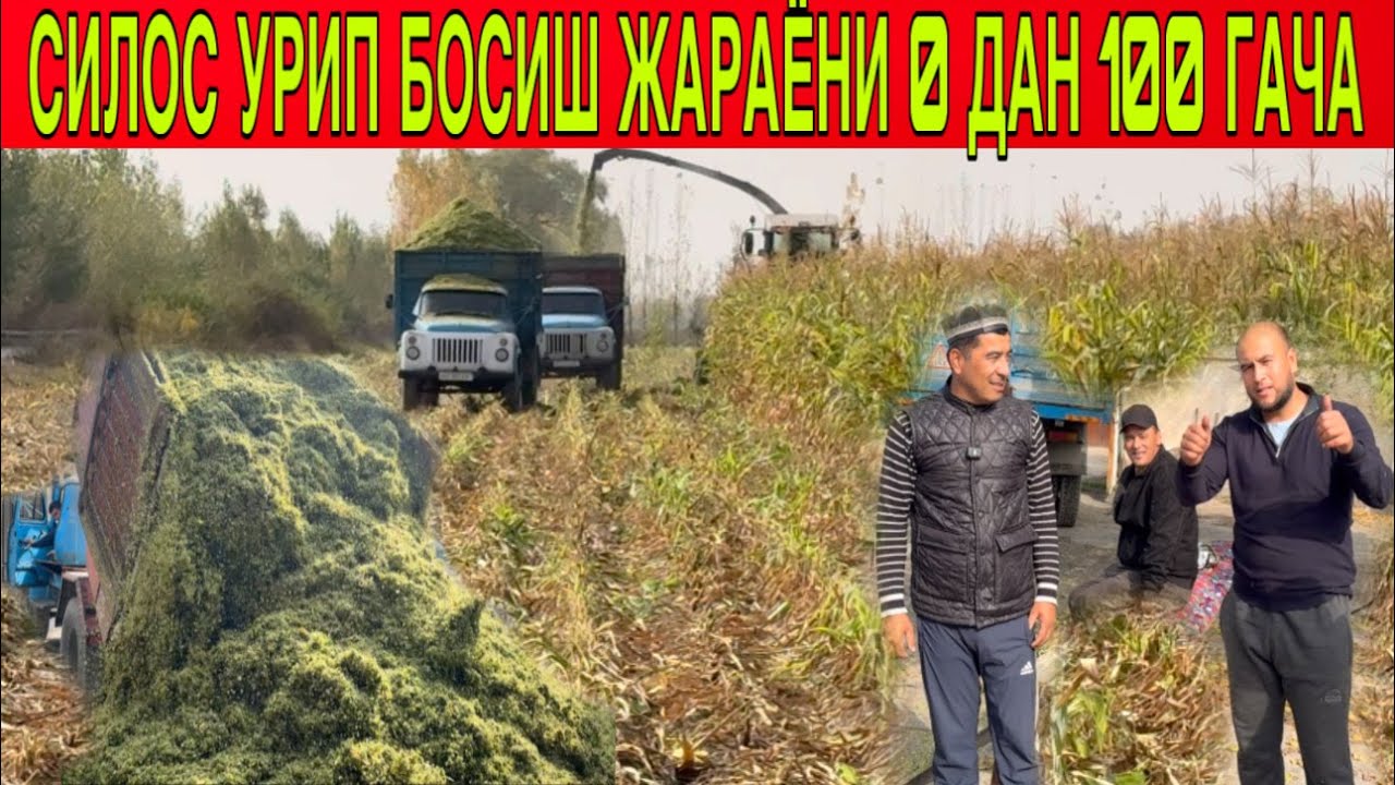 СИЛОС СЕЗОН ТУГАДИ УРИЛИШ БОСИШ ЖАРАЁН