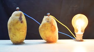 Free 230v Light Bulb use Potato energy