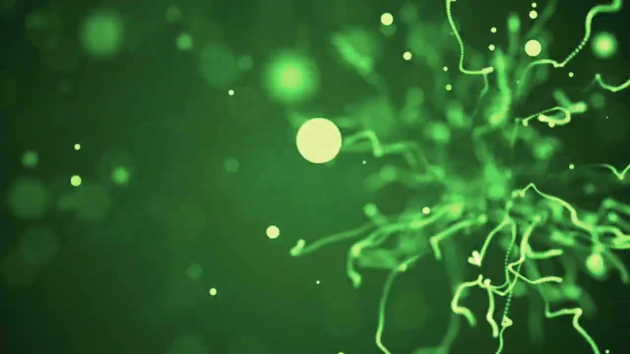 Free Cheap Stock Footage - Archive, Download, Royalty Free