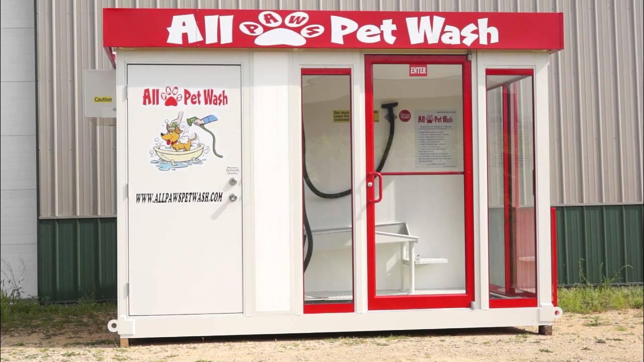 All Paws Pet Wash YouTube