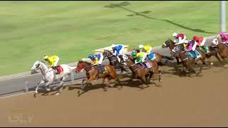 20211101 Hollywoodbets Greyville express clip Race 7 won by KNIGHT WARRIOR